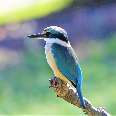Lake Central Cairns Bagian luar foto