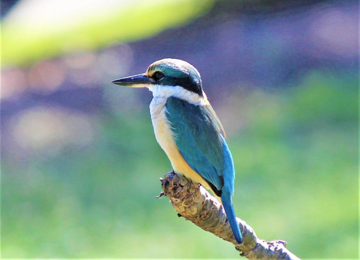 Lake Central Cairns Bagian luar foto